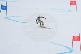Milan Cortina Olympics Alpine Skiing