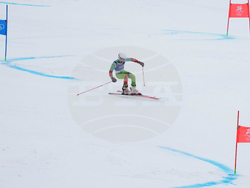 Milan Cortina Olympics Alpine Skiing