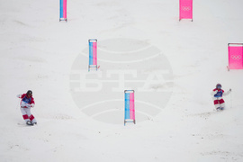 Milan Cortina Olympics Freestyle Skiing