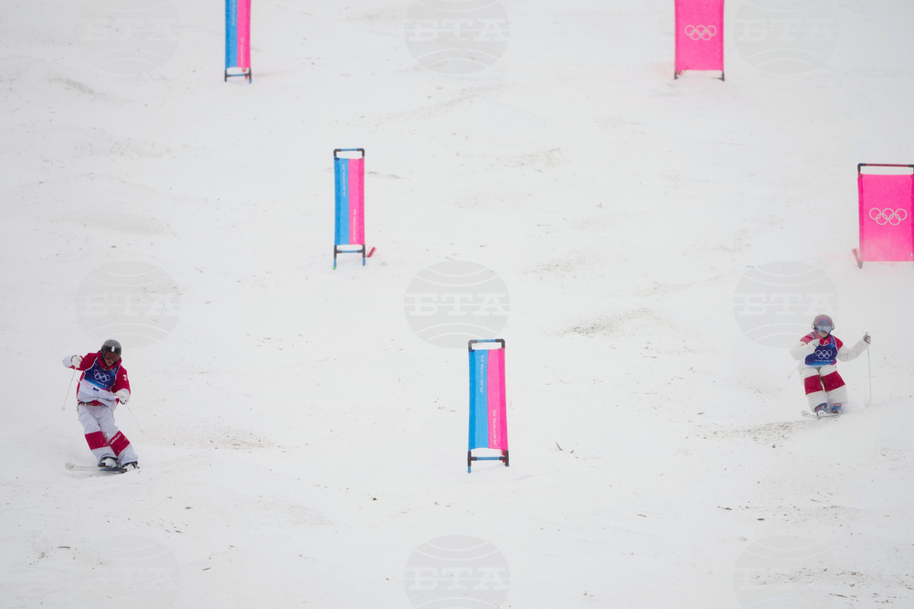 Milan Cortina Olympics Freestyle Skiing