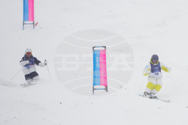 Milan Cortina Olympics Freestyle Skiing