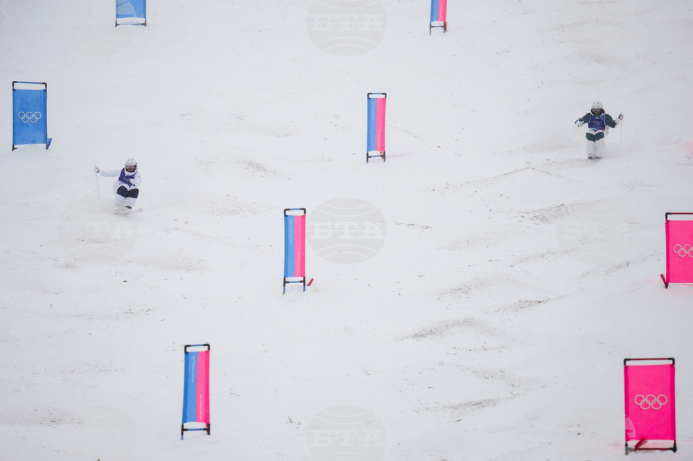 Milan Cortina Olympics Freestyle Skiing