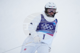 Milan Cortina Olympics Freestyle Skiing