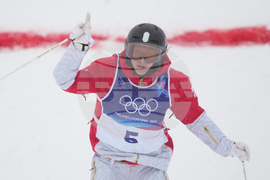 Milan Cortina Olympics Freestyle Skiing