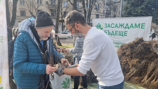 В Плевен раздават 65 000 медоносни и плодни дръвчета по националната кампания на инициативата "Гората.бг" 