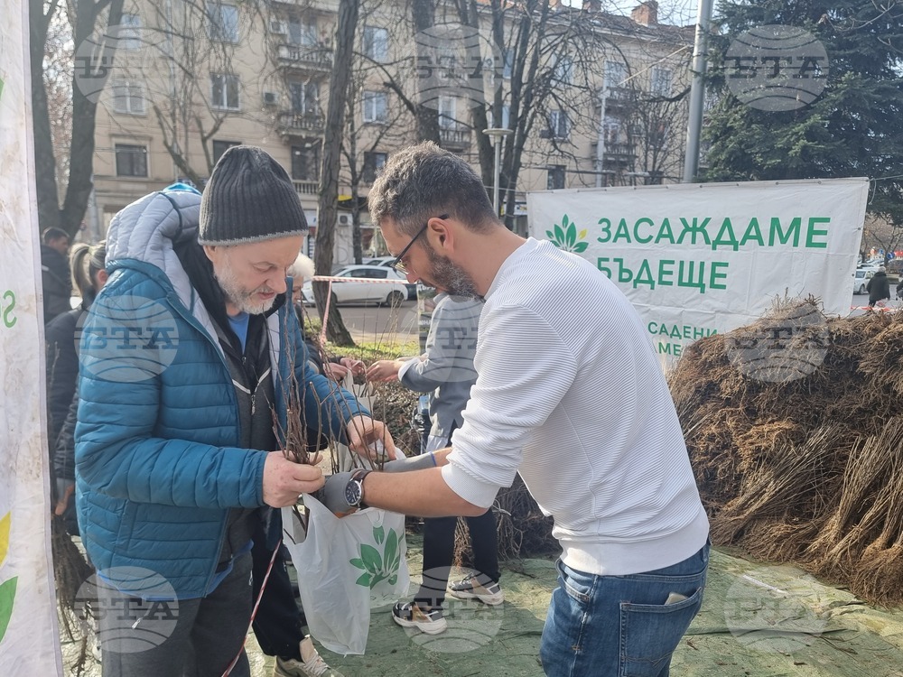В Плевен раздават 65 000 медоносни и плодни дръвчета по националната кампания на инициативата "Гората.бг" 