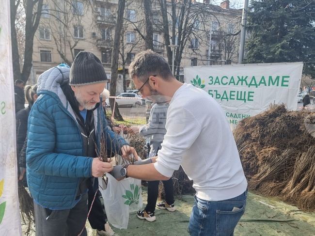 В Плевен раздават 65 000 медоносни и плодни дръвчета по националната кампания на инициативата "Гората.бг" 