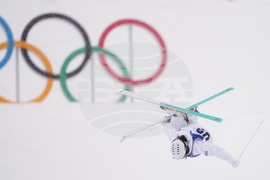 Milan Cortina Olympics Freestyle Skiing