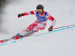 Milan Cortina Olympics Alpine Skiing