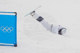 Milan Cortina Olympics Freestyle Skiing