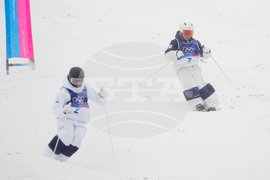 Milan Cortina Olympics Freestyle Skiing