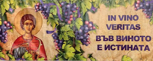 Аромат на традиция: Винен конкурс събра майсторите в Кубрат