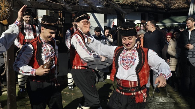 С ритуал по зарязване на лоза и награждаване в конкурс за най-качествено вино беше отбелязан Трифон Зарезан в Добрич