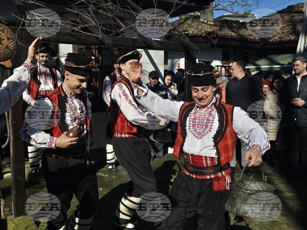 С ритуал по зарязване на лоза и награждаване в конкурс за най-качествено вино беше отбелязан Трифон Зарезан в Добрич