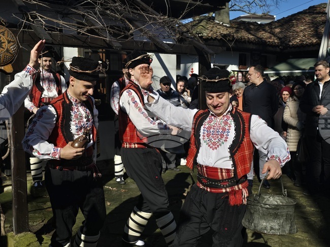 С ритуал по зарязване на лоза и награждаване в конкурс за най-качествено вино беше отбелязан Трифон Зарезан в Добрич