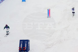 Milan Cortina Olympics Freestyle Skiing