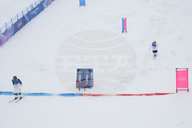 Milan Cortina Olympics Freestyle Skiing