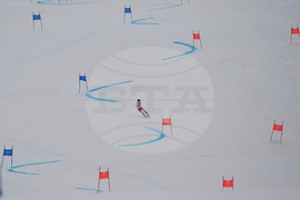 Milan Cortina Olympics Alpine Skiing