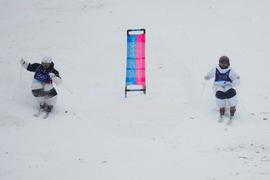 Milan Cortina Olympics Freestyle Skiing