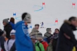 Milan Cortina Olympics Alpine Skiing