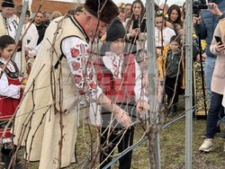 Снимка: Областна администрация Видин