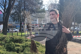 Плевен - Гората.бг - раздаване на дръвчета