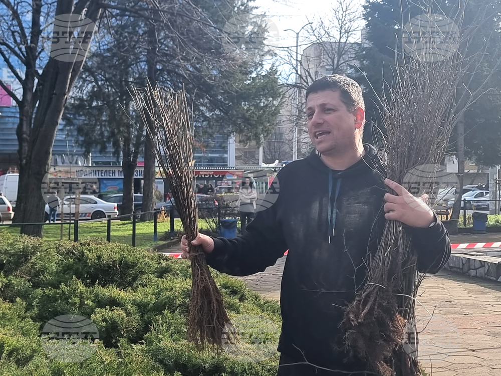 Плевен - Гората.бг - раздаване на дръвчета