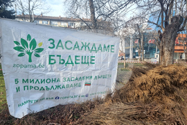 Плевен - Гората.бг - раздаване на дръвчета