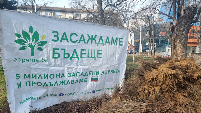 В Кюстендил тази събота ще бъдат подарени 16 000 плодни, медоносни и паркови дървета