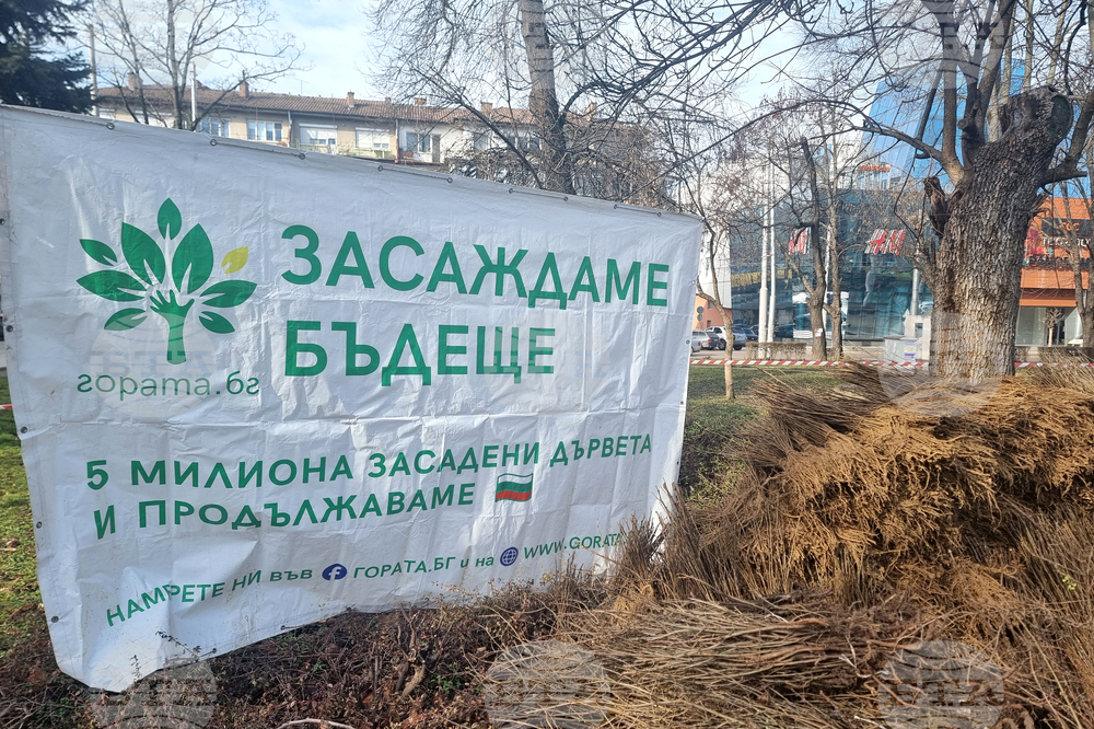 Плевен - Гората.бг - раздаване на дръвчета