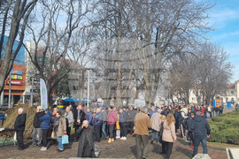 Плевен - Гората.бг - раздаване на дръвчета