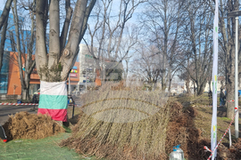 Плевен - Гората.бг - раздаване на дръвчета