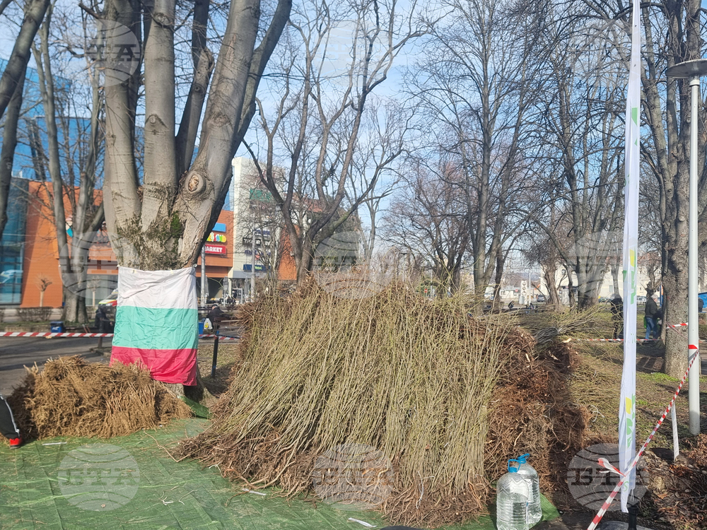 Плевен - Гората.бг - раздаване на дръвчета