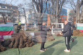 Плевен - Гората.бг - раздаване на дръвчета