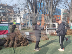 Плевен - Гората.бг - раздаване на дръвчета