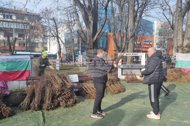 Плевен - Гората.бг - раздаване на дръвчета