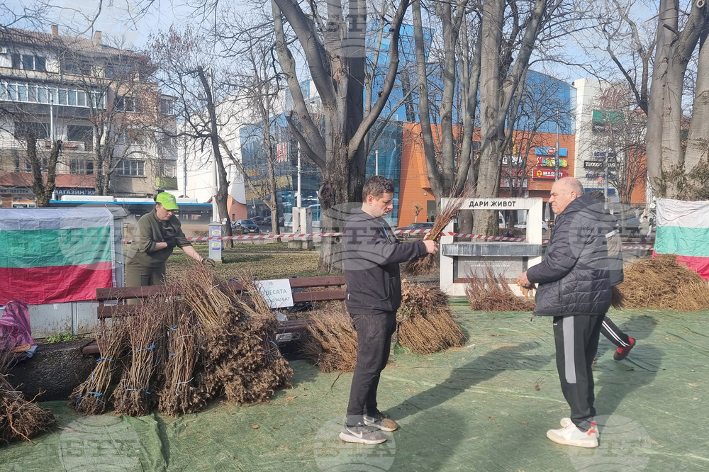 Плевен - Гората.бг - раздаване на дръвчета