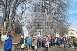 Плевен - Гората.бг - раздаване на дръвчета