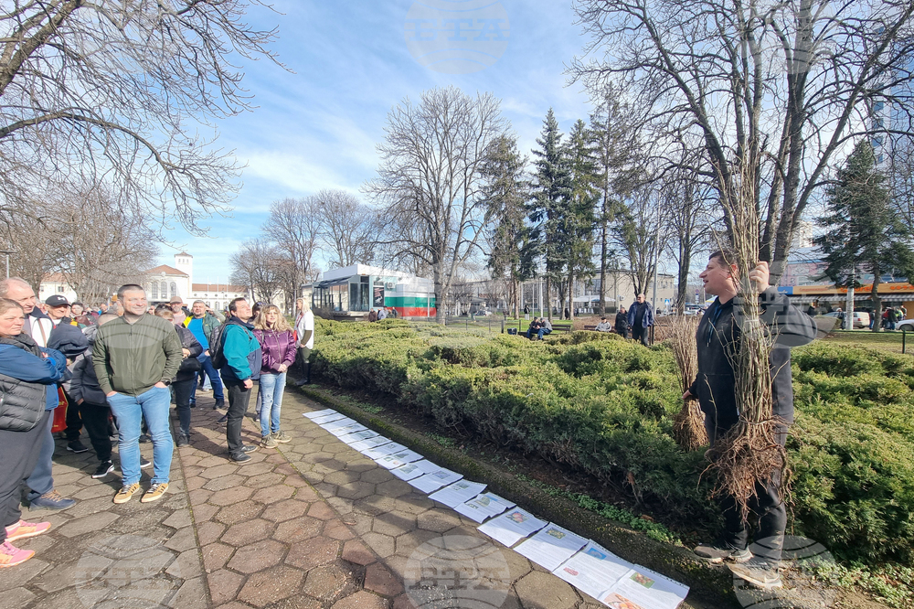 Плевен - Гората.бг - раздаване на дръвчета