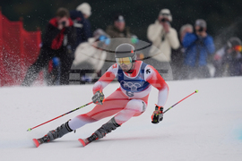 Milan Cortina Olympics Alpine Skiing