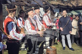 Добрич - Трифон Зарезан - ритуал