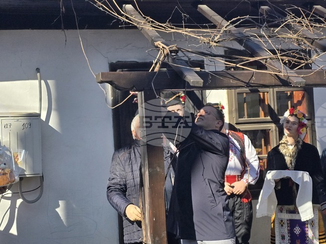 Добрич - Трифон Зарезан - ритуал