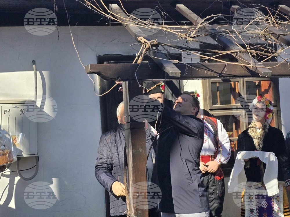 Добрич - Трифон Зарезан - ритуал