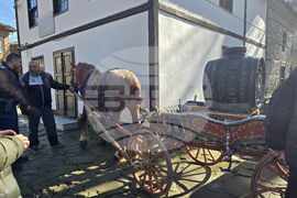 Добрич - Трифон Зарезан - ритуал