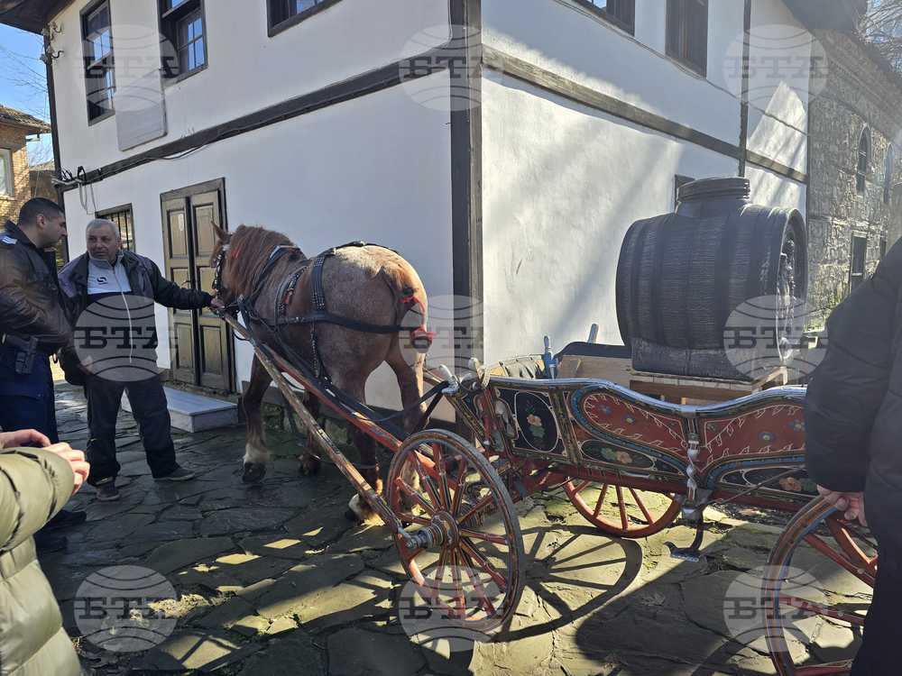 Добрич - Трифон Зарезан - ритуал