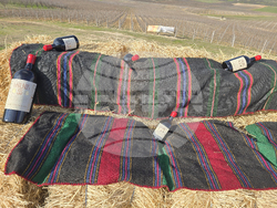 Село Генерал Тодоров - Трифон Зарезан