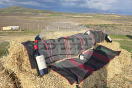 Село Генерал Тодоров - Трифон Зарезан