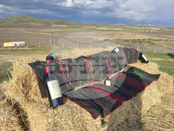 Село Генерал Тодоров - Трифон Зарезан