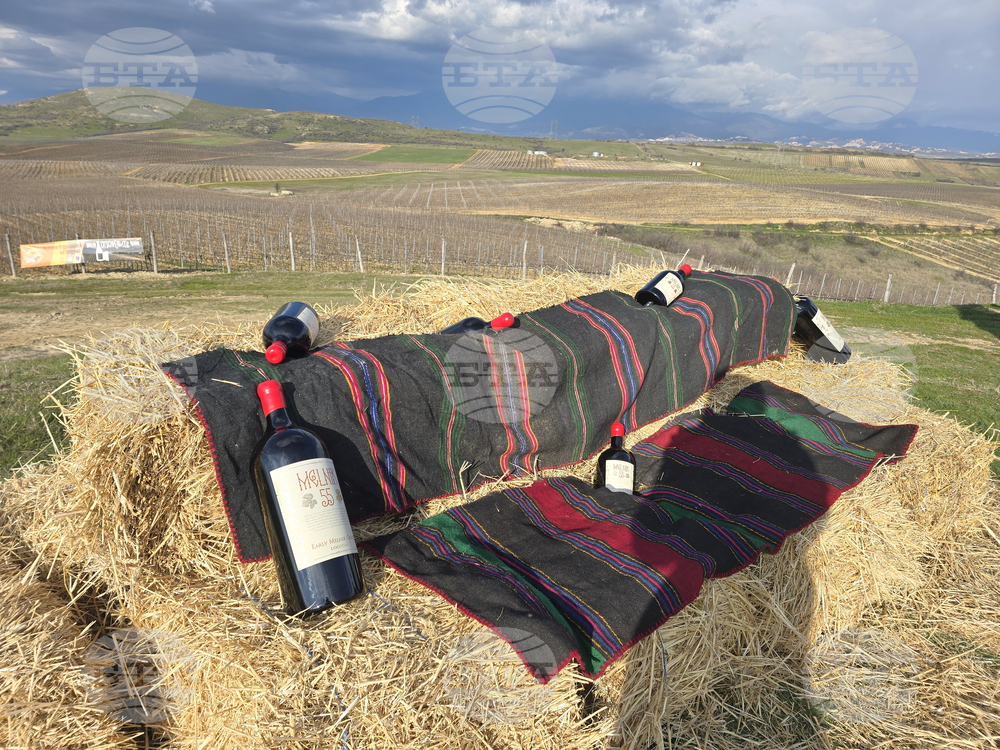 Село Генерал Тодоров - Трифон Зарезан