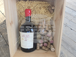 Село Генерал Тодоров - Трифон Зарезан